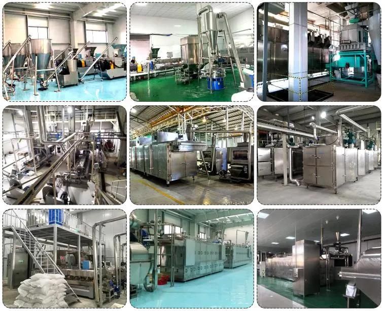 Dog Food Processing Extruder Machinery Dog Food/Feed Pellet Processing Machine