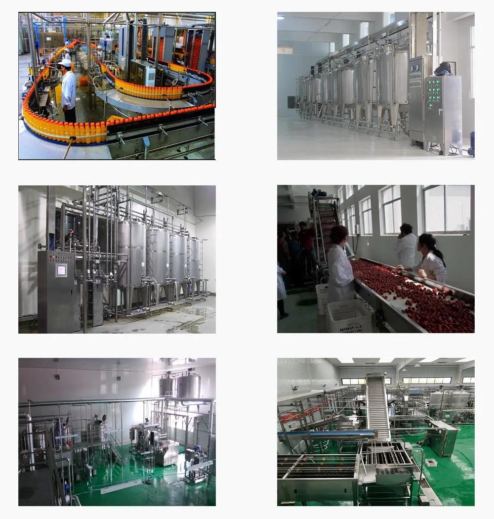 2022 Ws Complete Fruit Juice Production Line Turnkey Project