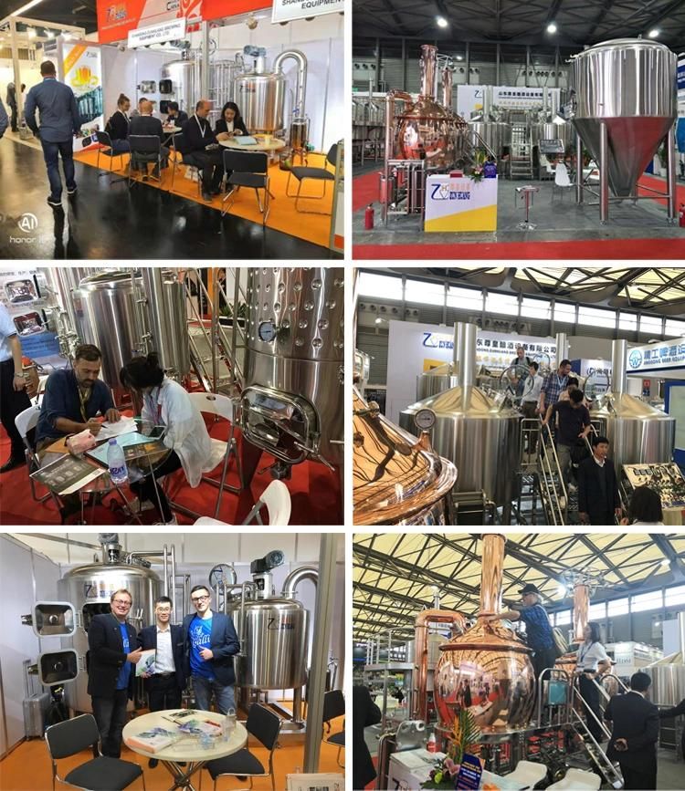 500L Beer Brewing Equipment with Stainless Steel Beer Fermentation Tank