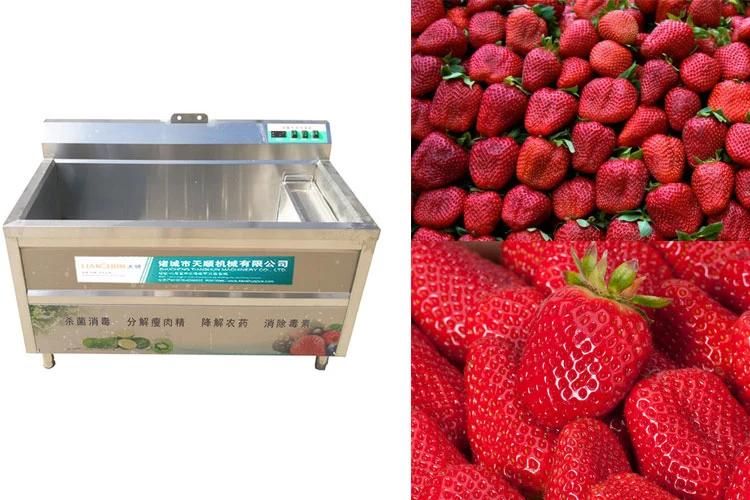 Industrial Air Bubble Fruit Spray Washer Machines Strawberry Washing Machine