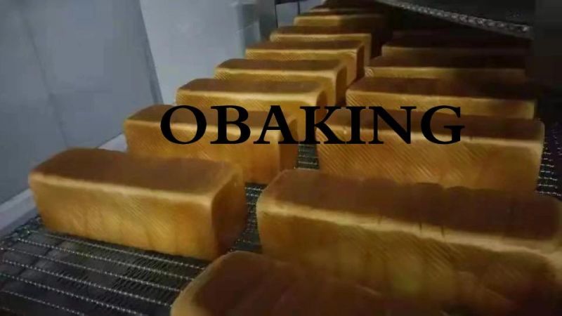 Automatic Toast Bread Producion Line/ Bread Production Line/ Breads Moulder/ Bread Slicer/Loaf Bread Machine