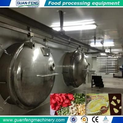 Coffee Powder Making Machine Freeze Dryer for Food