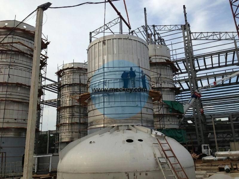 Automatic Corn Citric Acid Processing Plant with ISO Approval