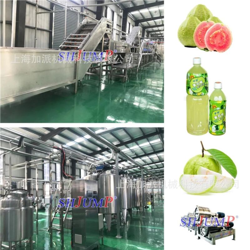 Guava Juice Processing Equipment/Guava Constrate Puree Jam Paste Ketchup Production Lines and Machines