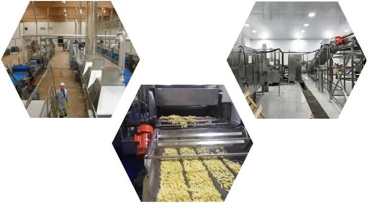 Potato Chips Processing Machinery and French Fries Making Machine