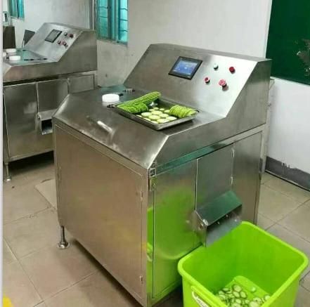 Fruit Cutting Machinery for Sale in China