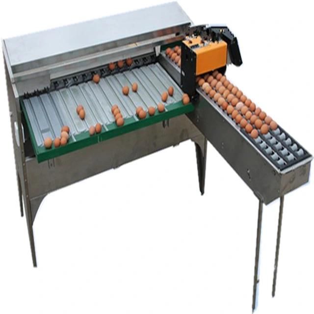 Full Automatic Egg Sorting Machine