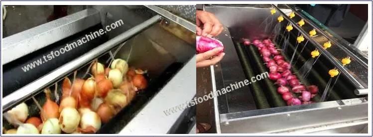 Root Vegetable Potato and Onion Washing and Peeling Machine