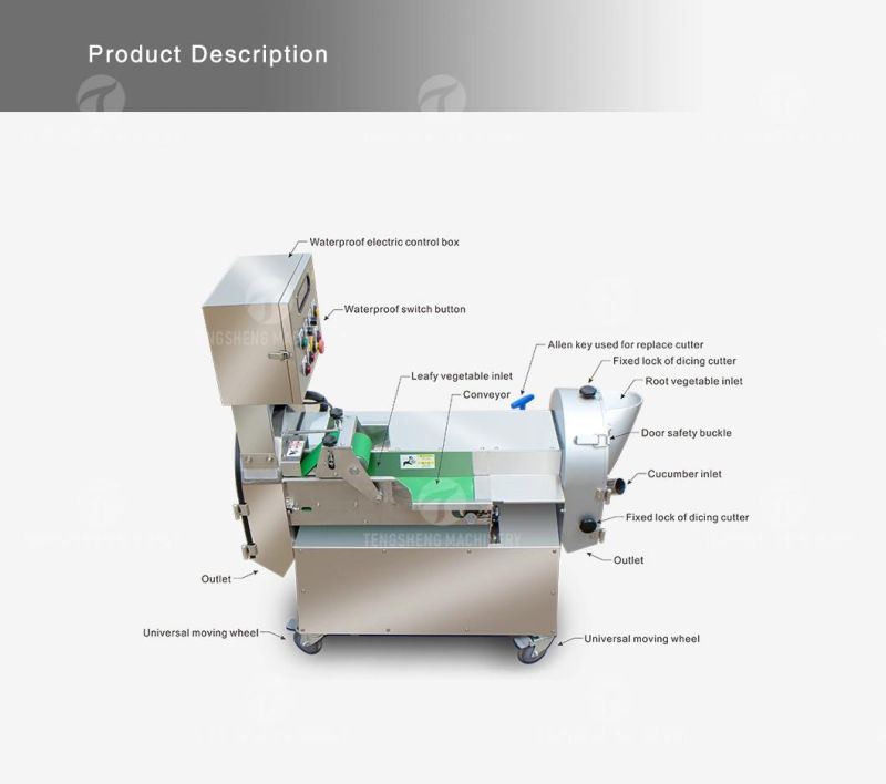 Electric Fruit Dicer Cutter Carrot Cucumber Slicer High Quality Potato Chip Vegetable Chopper Cutting Machine Kitchen Equipment Food Processor (TS-Q118)