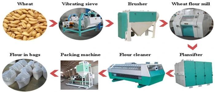 Turnkey Project 5-500t/24h Wheat Flour Milling Machine