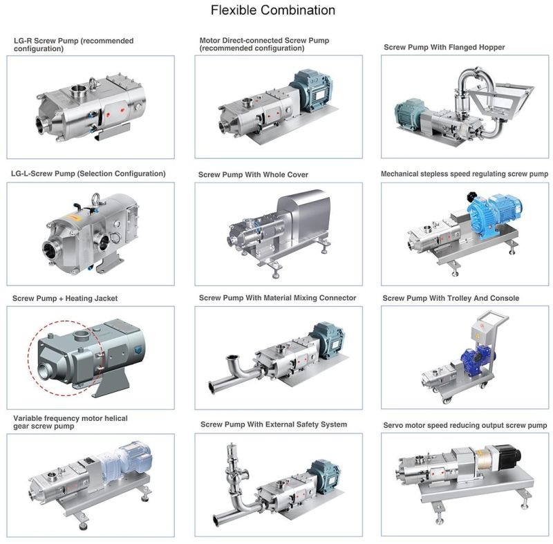 Us 3A Food Processing Screw Pump with Electric Motor