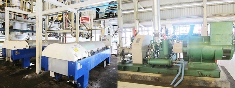 Huatai Brand Best Selling Palm Kernel Oil Press Machine Production Equipments