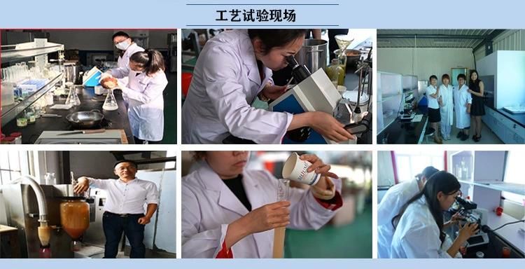 Plant Extract Equipment/Traditional Chinese Medicine Concentration and Extraction System