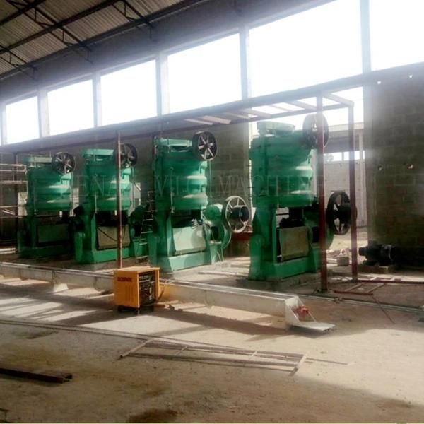 Cold Press Oil Machine, Sunflower Oil Press Machine (YZ-12L)