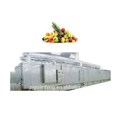 750kg industrial IQF Tunnel Freezer for Food Quick Freezing Process