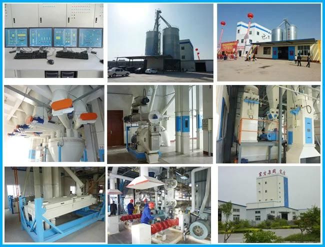 Single Screw Steam Pelletizing Extruder for Aqua Feed