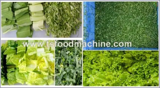 Restaurant Machine Leaf Vegetable Cutter Machine