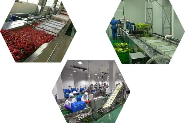 Restaurant Kitchen Hotel Small Vegetable Washing Machine High Pressure Lettuce Bubble Washer