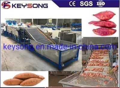 Food Machinery Fruit Sweet Potatoes Bubble Washer