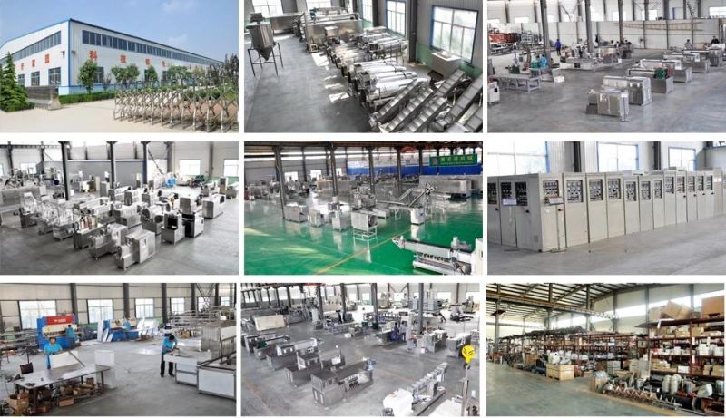 Sinking Floating Aquarium Fish Feed Manufacturing Equipment Plant Chicken Bird Animal Feed Processing Machine Line Pig Cat Dog Pet Food Pellet Making Machinery