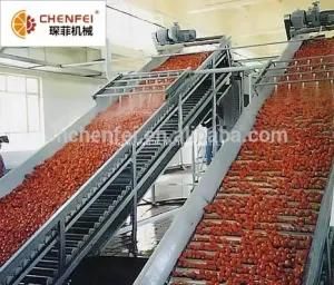 Concentrate Tomato Puree Production Line