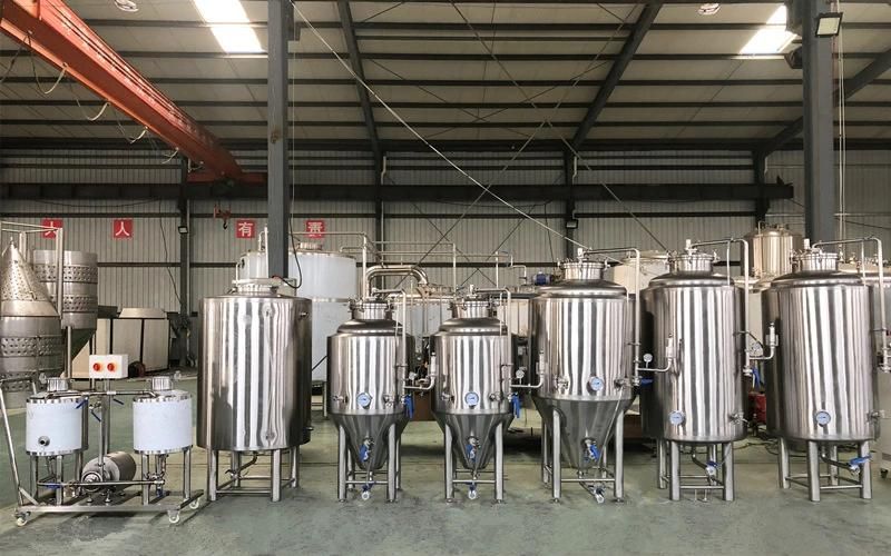 Cassman Small 100-500L Stainless Steel Conical Fermenter Beer Brewery Equipment