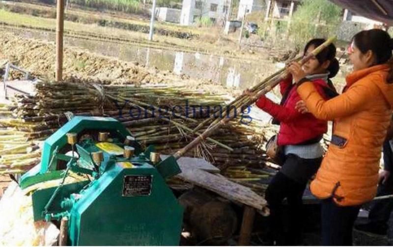 Large Capacity Sugar Cane Juice Extractor for Farm or Factory