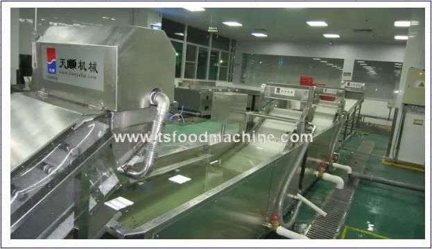 Plum Washing Machine and Plum Processing Machine