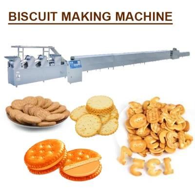 Variety of Flavors of High-Quality Biscuit Production Line