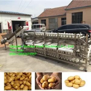 Automatic Potato Sorting Machine/Grading Machine