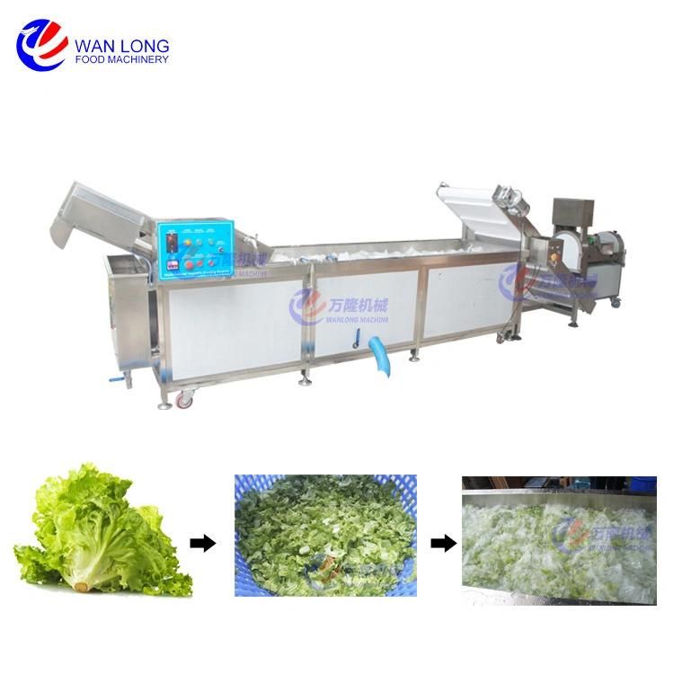 Fruit Tomato Apple Pear Strawberry Blueberry Washing Drying Machines