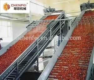 Lifting Conveyor with Baffles for Dry Fruits