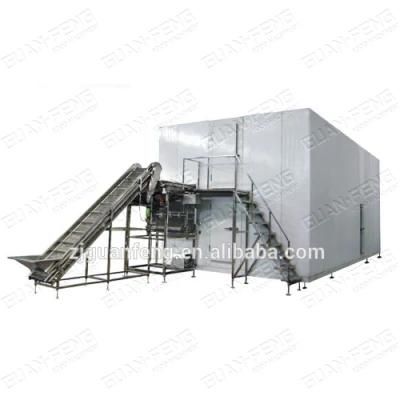 3t industrial IQF Freezer for Food Quick Freezing Process