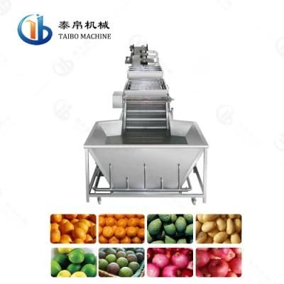 Multipurpose Carrot Apple Washing Waxing Diameter Grading Line for Farm