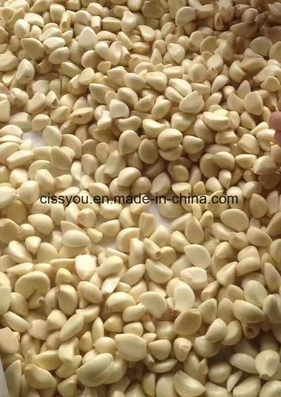 Garlic Separating Separator Breaking Peeling Stripper Machine