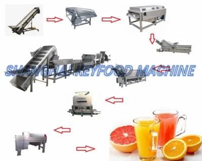 Fully-Automatic Turnkey-Project Coconut Juice Production Line