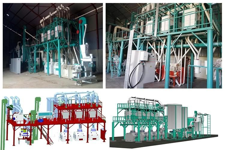 Professional Manufacture Supply 50t/24h Maize Milling Machine