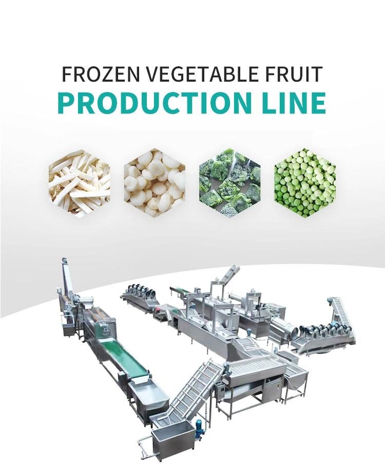 Quick Freezing Processing Machine Frozen Vegetable and Fruit Production Line