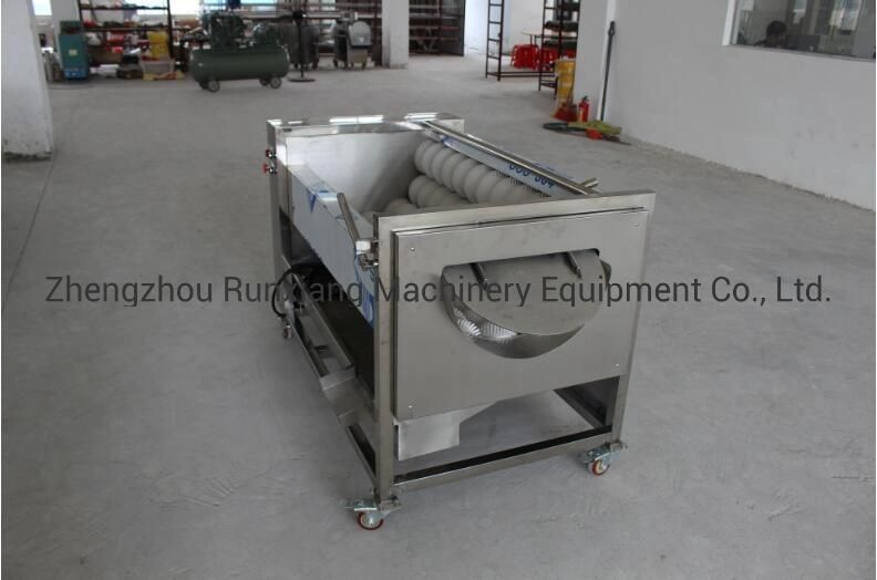 Stainless Steel Chinese Vegetable Brush Washing Peeling Machine