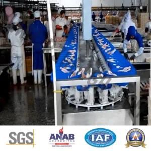 Pz-a-1000g SUS 304weighing Food Machinery