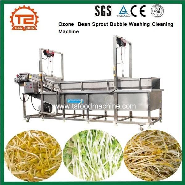 Ozone Vegetable Cleaner Machinery Bean Sprout Bubble Washing Cleaning Machine