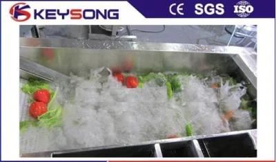 Labour Saving Commercial Vegetable Washing Machinery