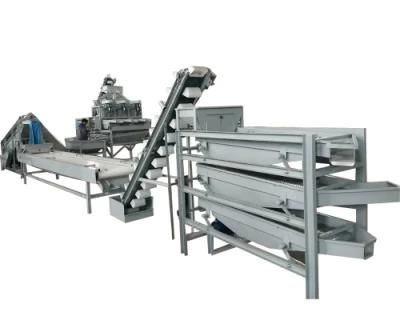 Peanut Kernel Sorting Machine Peanut Grading Machine Almond Sorting Machine