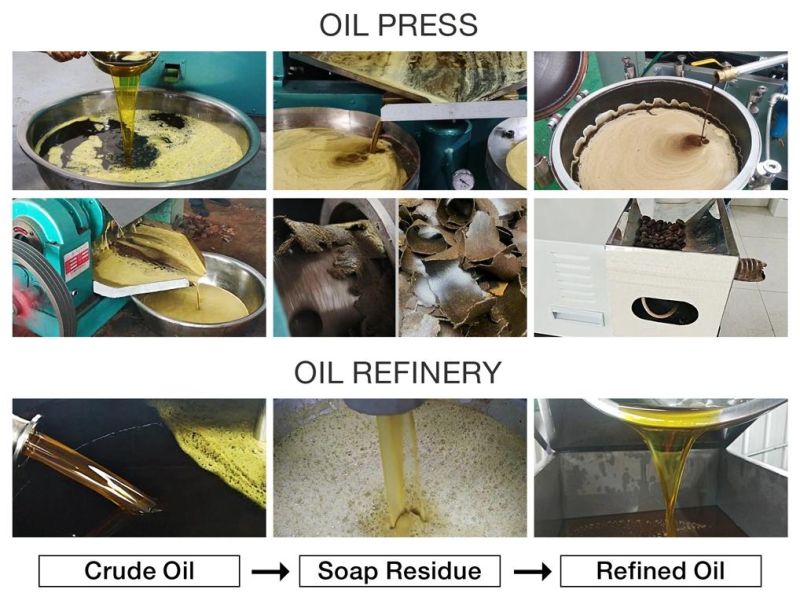 Guangxin 8tpd Oil Press Cold Peanut Oil Machine