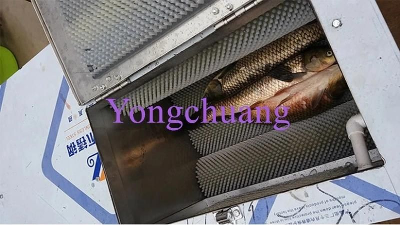 2017 Hot Selling High Efficiency Electric Fish Scale Removing Machine