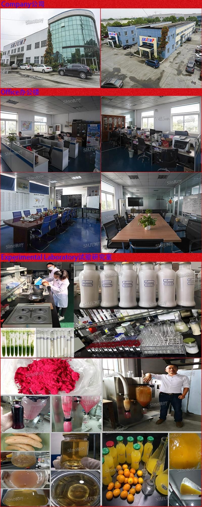 Meal Replacement Powder Processing Line Production Line Production Plant and Machine