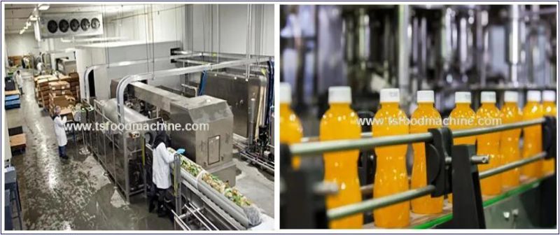 Commerical New Can Pasteurization Machine for Sale