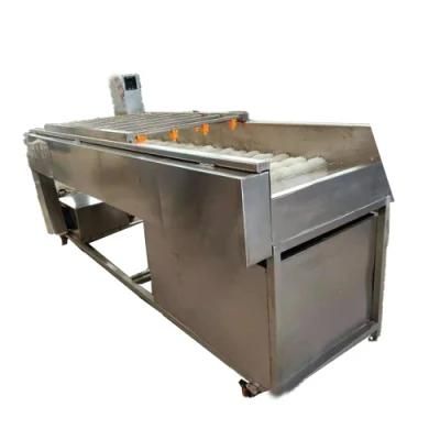 Brush Roller Potato Cleaning and Peeling Machine