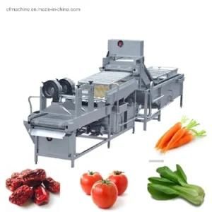 High Strength Bubble Washer Strawberry Tomato Apple Cleaning and Sorting Machine Washer