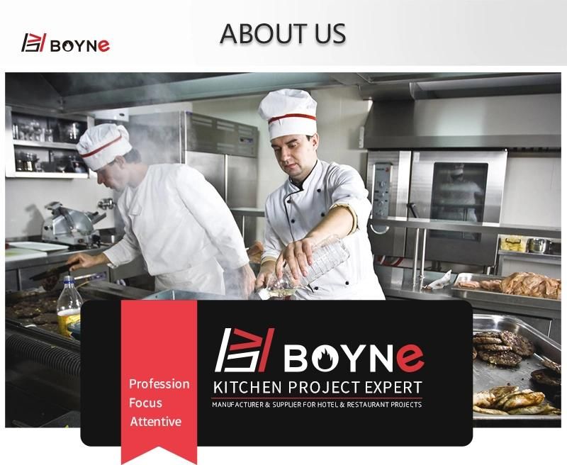11L Double Tank Commercial Fryer for Fried Snack Food Used in Bakery